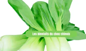 Un bouquet de chou chinois frais, aux feuilles vertes vives et aux tiges blanches croquantes, prêt à être cuisiné.