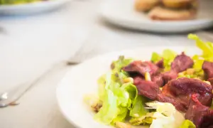 Salade périgourdine appétissante avec des morceaux de viande rouge, des pignons et de la laitue croquante sur une assiette blanche.