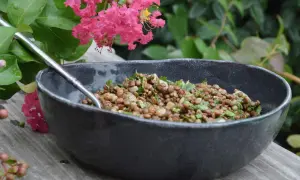 Salade de lentilles savoureuse dans un bol sombre, garnie d'herbes fraîches, avec des fleurs roses et des feuilles vertes en arrière-plan.