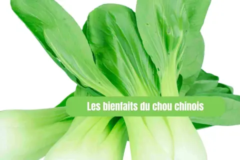 Un bouquet de chou chinois frais, aux feuilles vertes vives et aux tiges blanches croquantes, prêt à être cuisiné.