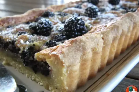Tarte rectangulaire aux mûres, saupoudrée de sucre glace. Une délicieuse recette de tarte aux mûres, parfaite pour l'été.