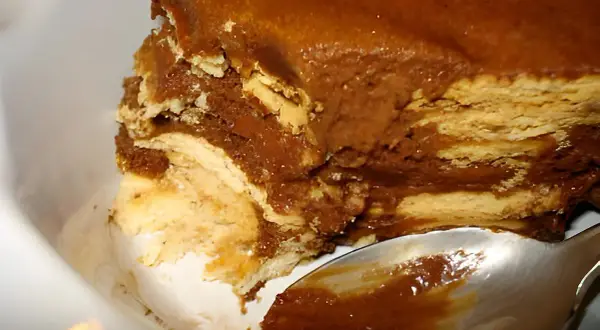 Délicieux gâteau sans cuisson aux couches de biscuits et de crème au chocolat, prêt à être dégusté avec une cuillère.