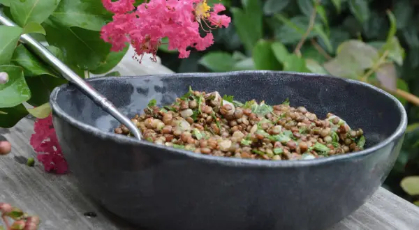 Salade de lentilles savoureuse dans un bol sombre, garnie d'herbes fraîches, avec des fleurs roses et des feuilles vertes en arrière-plan.