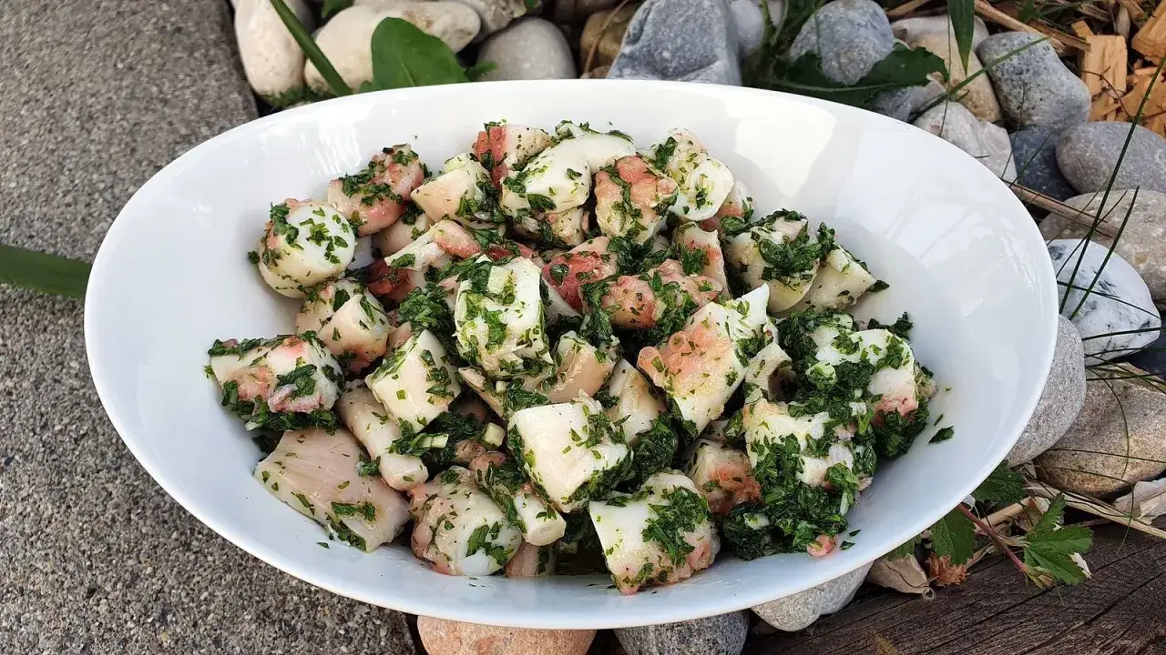 Salade de poulpe fra&icirc;chement pr&eacute;par&eacute;e, parsem&eacute;e de persil hach&eacute;, servie dans un bol blanc, avec des pierres et du bois en arri&egrave;re-plan.