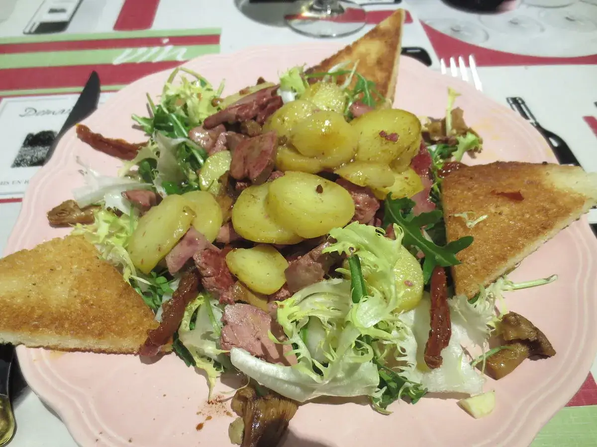 Salade périgourdine généreuse avec pommes de terre, magret, foie et toasts grillés sur une assiette rose.