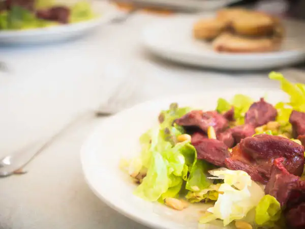 Salade périgourdine appétissante avec des morceaux de viande rouge, des pignons et de la laitue croquante sur une assiette blanche.